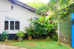 A house with a white exterior, a window with white bars, and a garden with various plants and a tree.