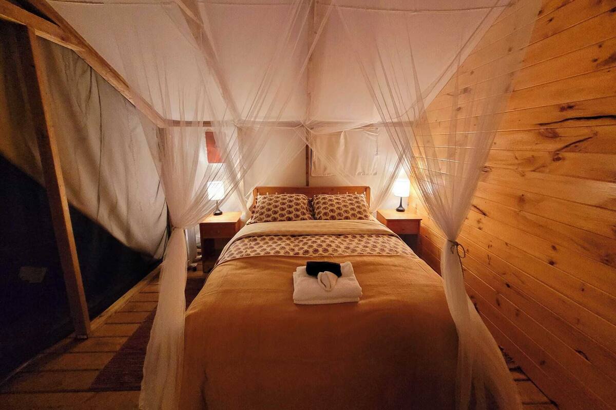 A room with a bed covered by a canopy, wooden walls, and two bedside lamps.