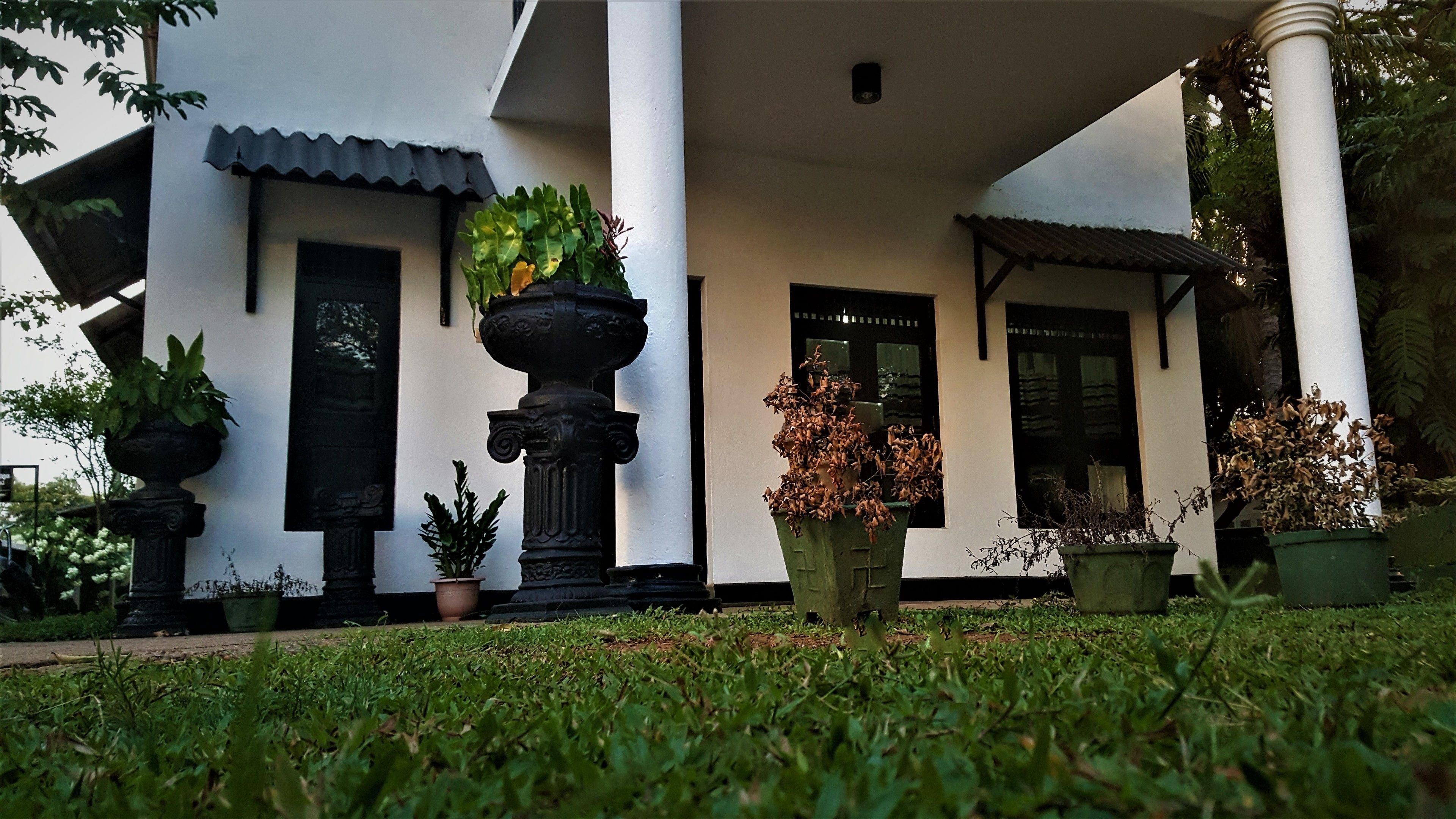 Un edificio con fachada blanca, puertas negras y columnas. Hay plantas en macetas al frente.