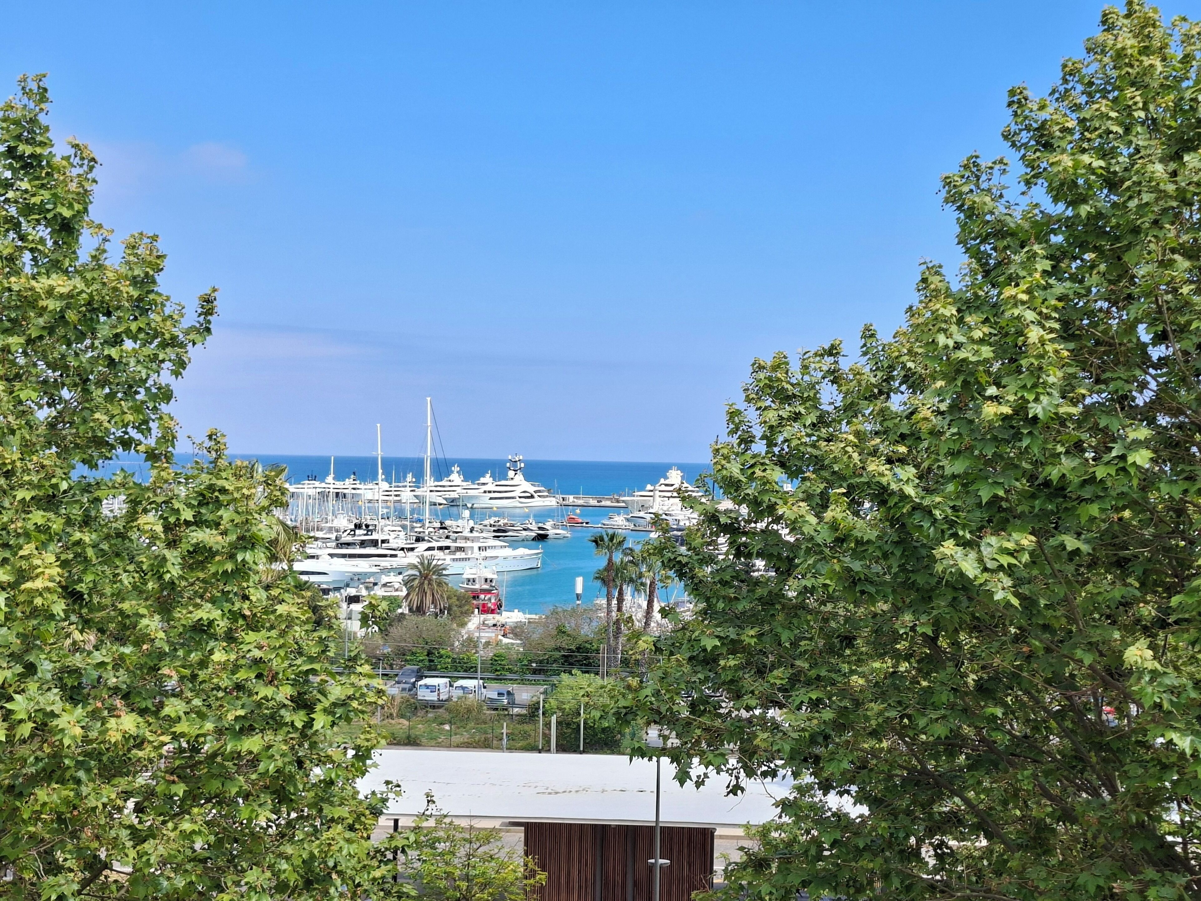 Un port de plaisance où sont amarrés des yachts, entouré d’arbres et surplombé d’un ciel dégagé.