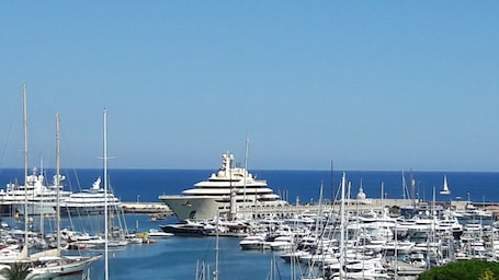 Vista desde la propiedad