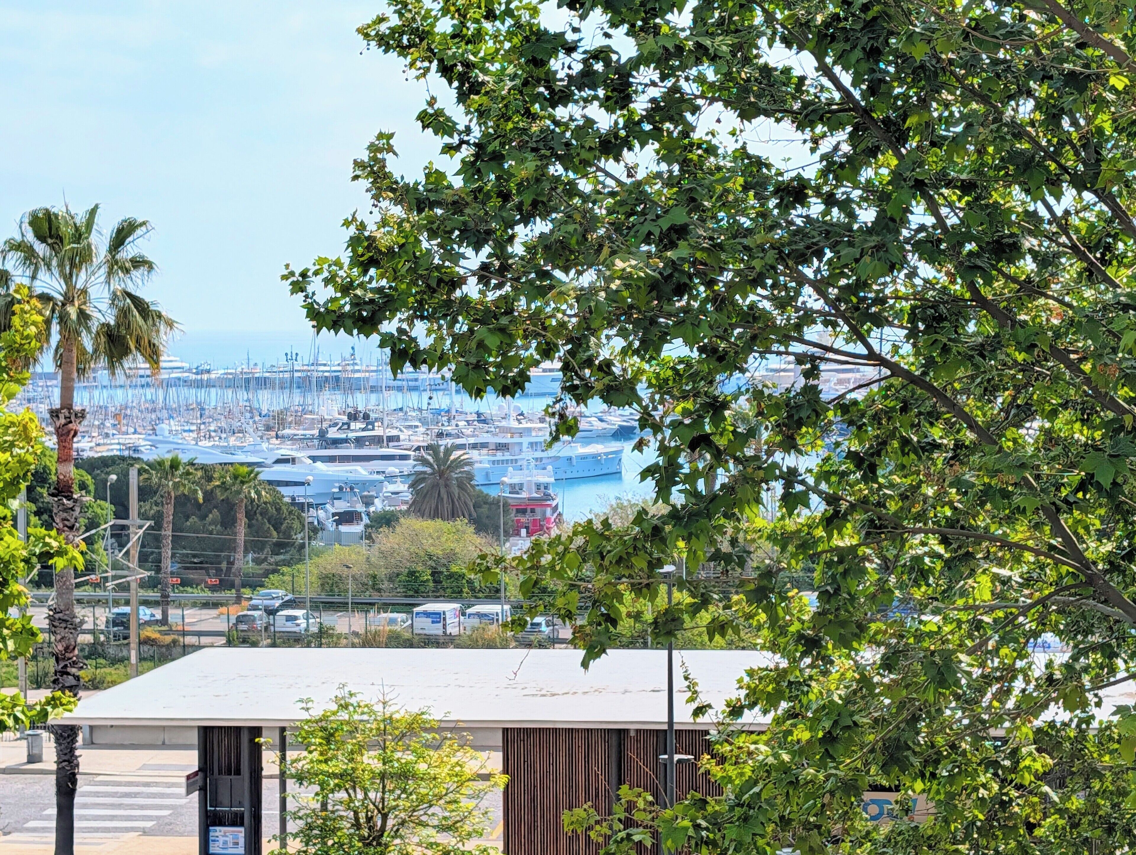 A marina with boats, a building with a flat roof, and trees in the foreground.