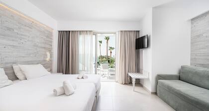 Apollon Windmill Hotel