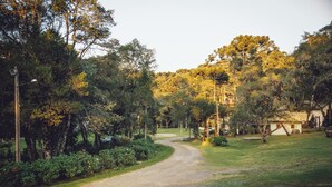 Un sentiero sterrato conduce a un edificio circondato da alberi e vegetazione.