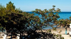 在海滩、沙滩椅、海滩遮阳伞