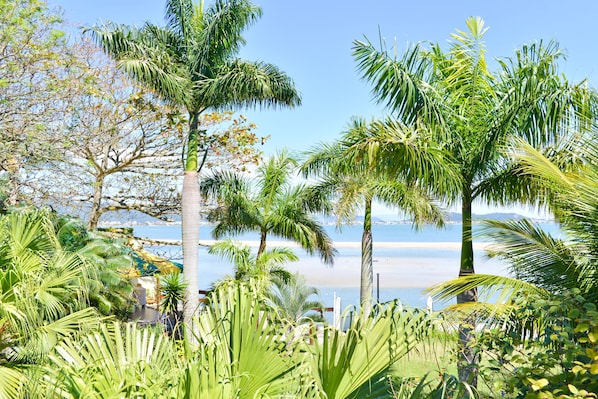 A tropical garden with palm trees and a view of the sea.