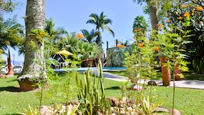 A tropical garden with palm trees, a pathway, and a stone wall. - Encantos da Ilha Pousada (Florianópolis)