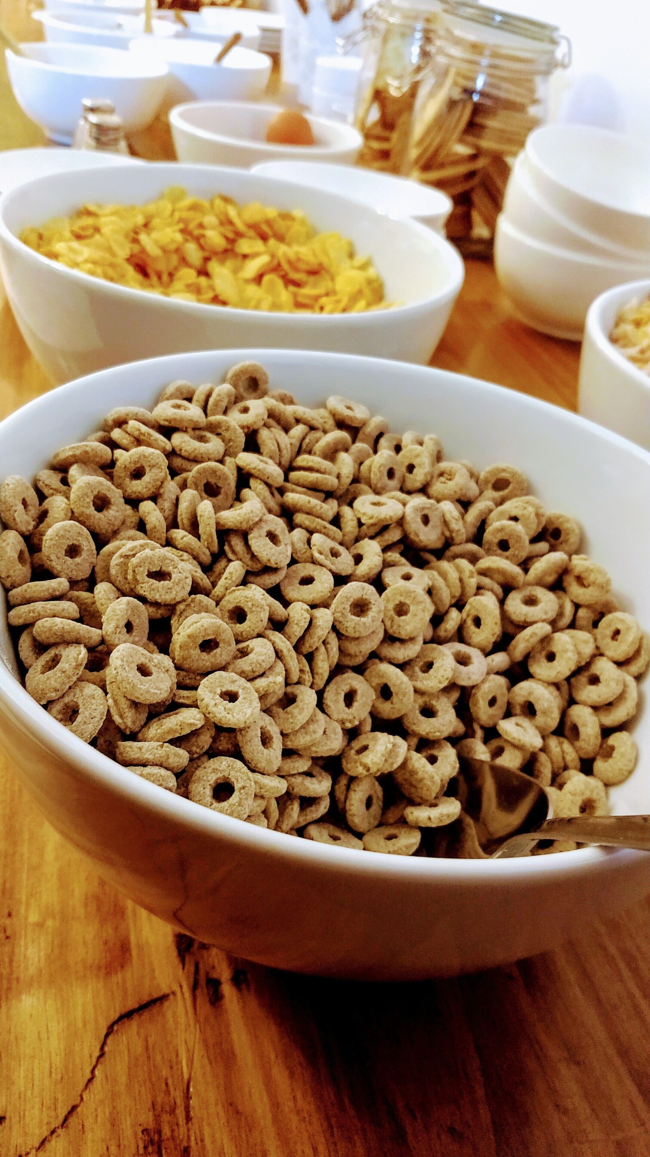 Foto - Hosteria Patagonia