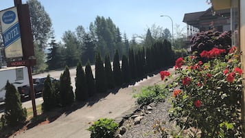 Cartel de motel con vistas, zona de estacionamiento y una fila de árboles.