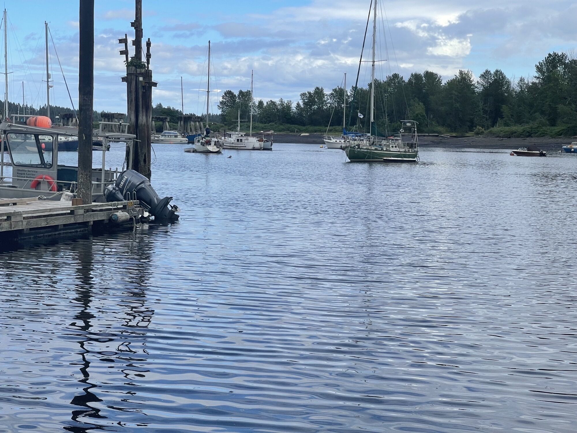 A marina with boats docked at wooden piers, surrounded by trees.