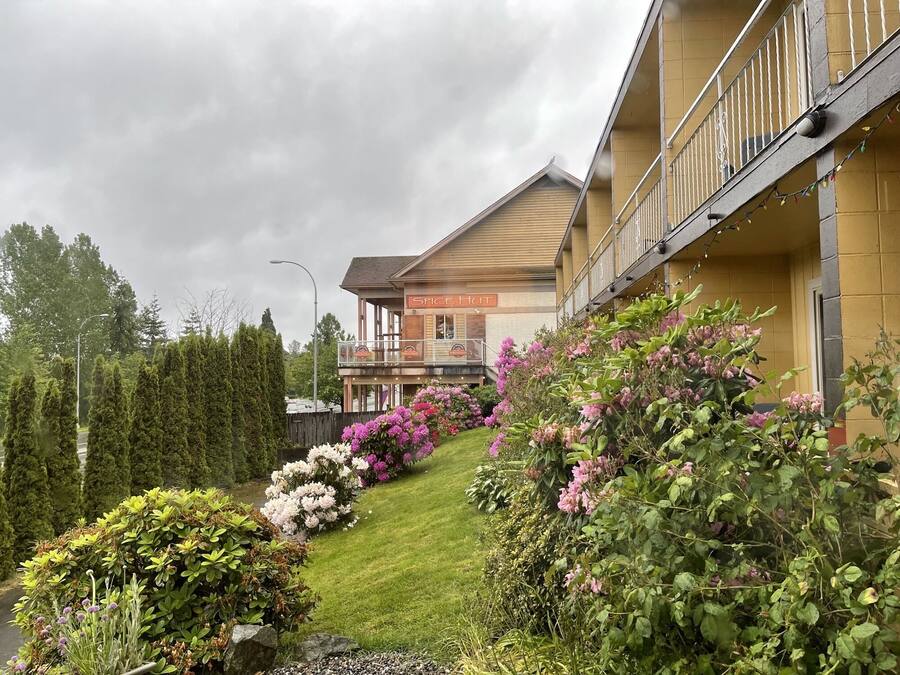 Un hotel con un letrero que dice "Spice Hut" en su fachada, rodeado de jardines cuidados y una variedad de plantas con flores.