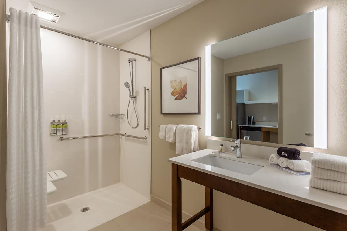 A modern bathroom with a walk-in shower, a sink with a mirror, and a framed picture on the wall.