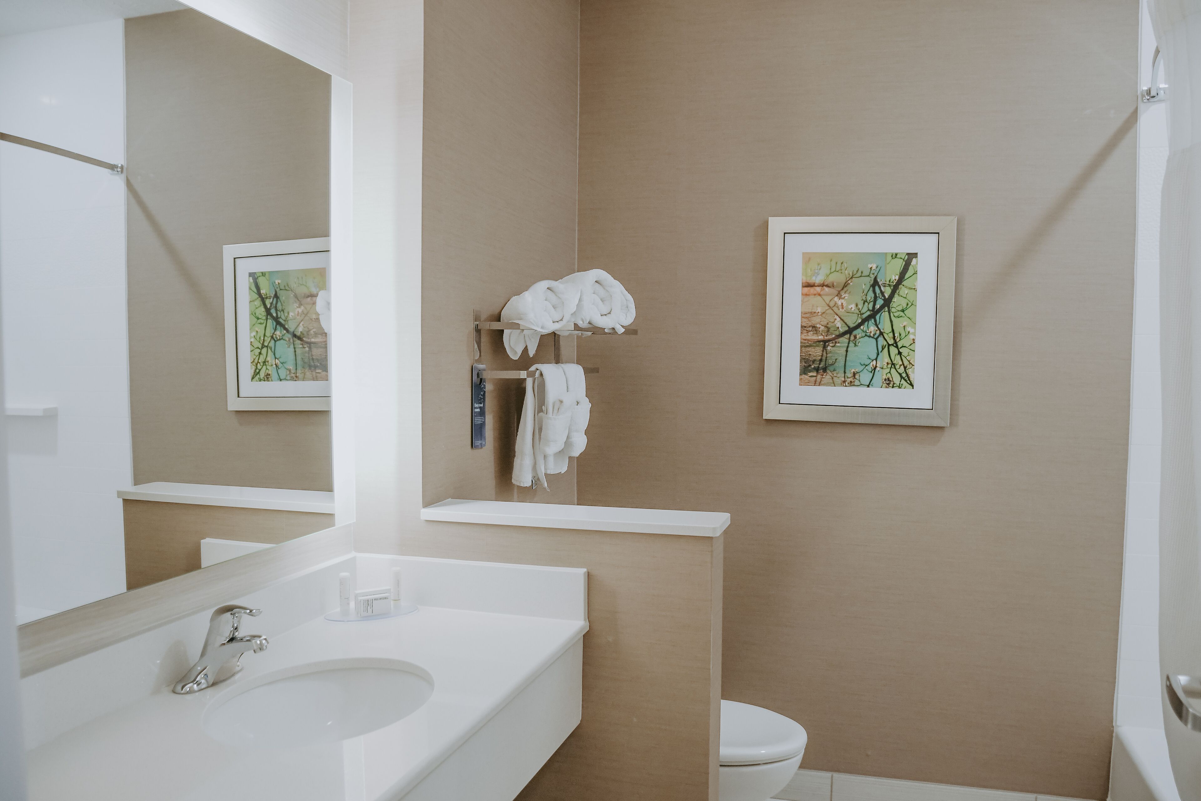 combined shower/bathtub, free toiletries, hair dryer, towels