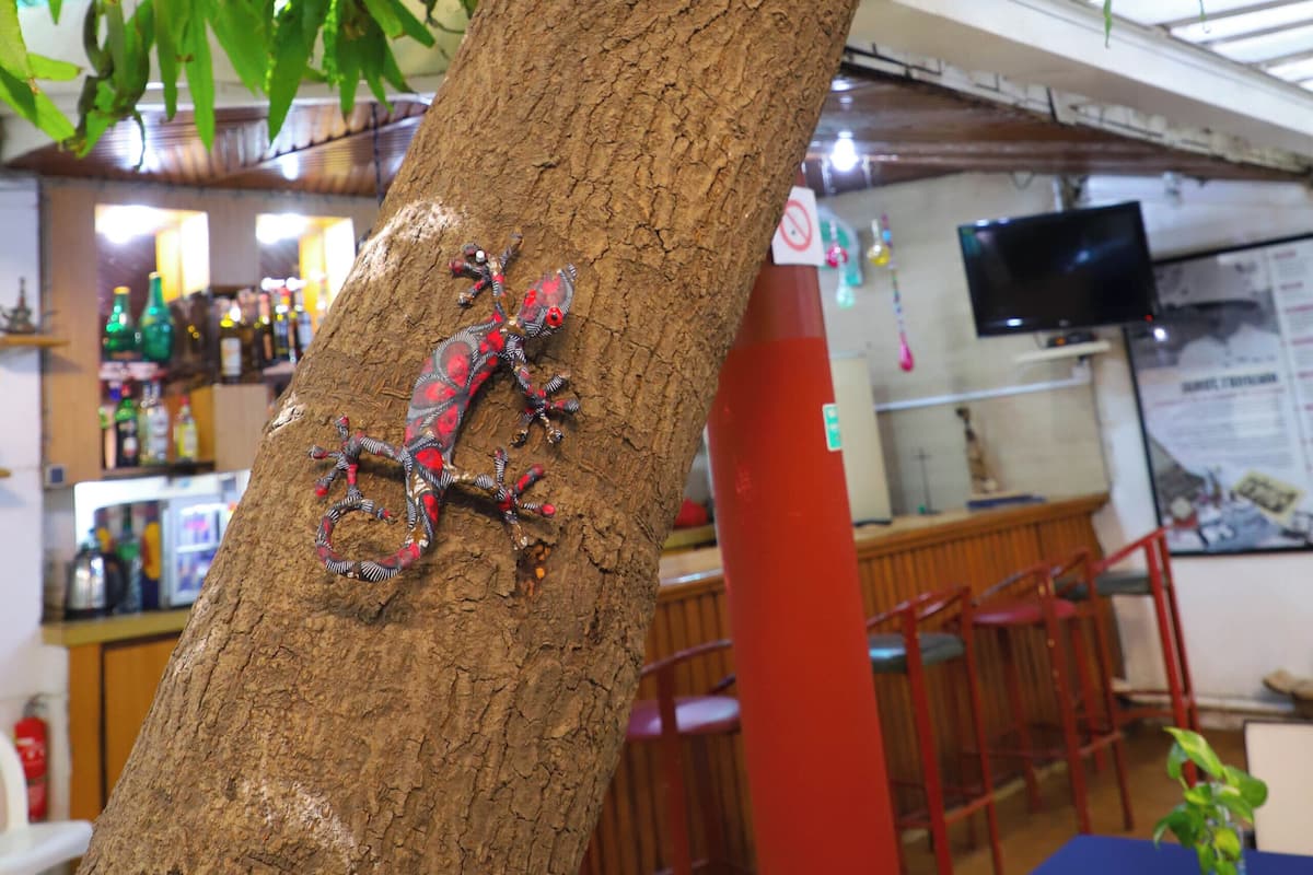 Un árbol con una escultura decorativa de un insecto, una zona de bar con botellas y un televisor al fondo.