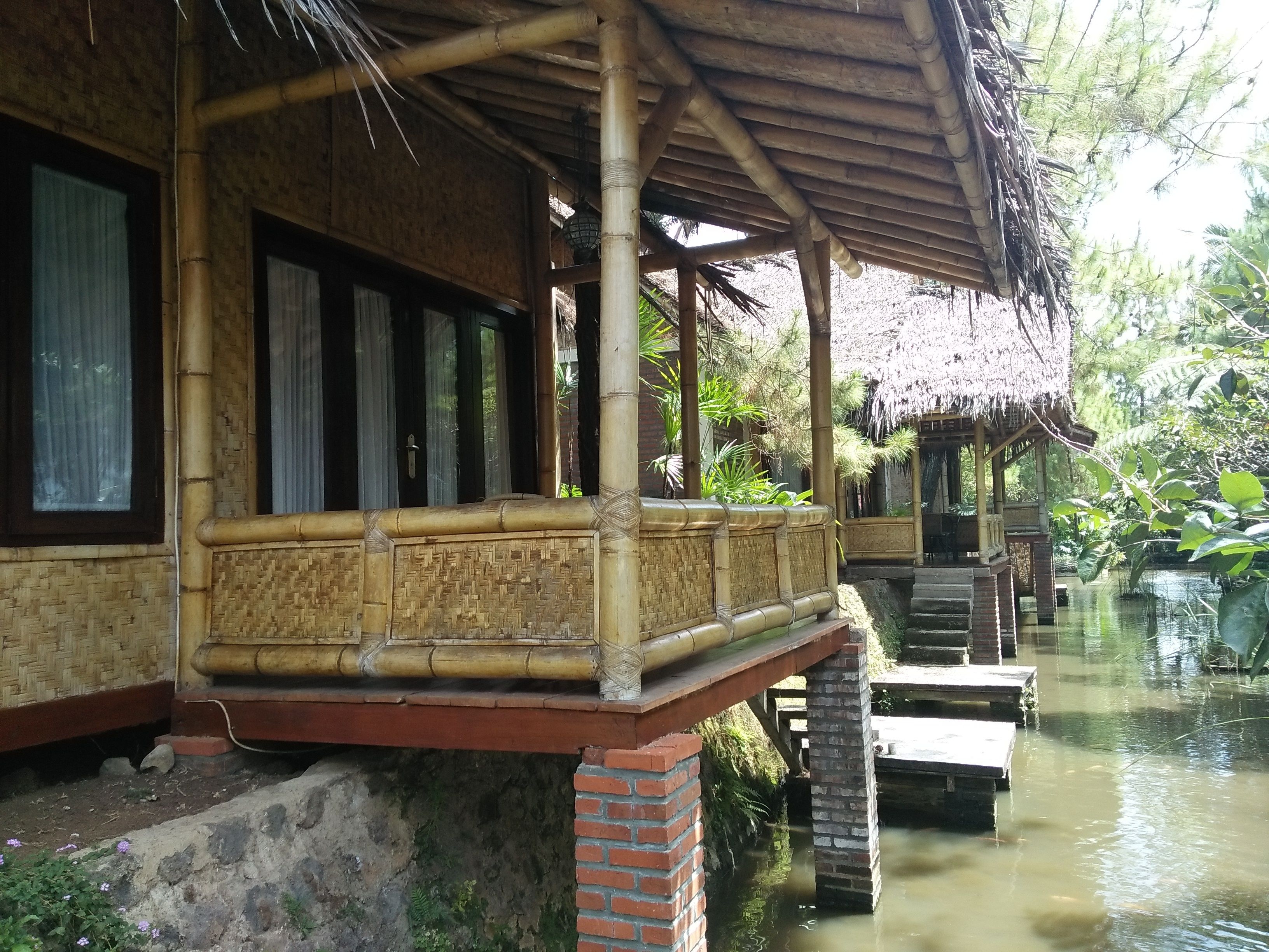 Bungalow Deluxe Lantana | View from room