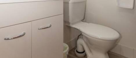 A bathroom with a toilet, a sink, and a cabinet.