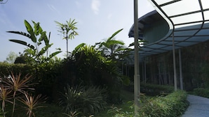 A garden with various plants and a covered walkway. - Hotel Asri Plaza Asia Tasikmalaya (Tasikmalaya)