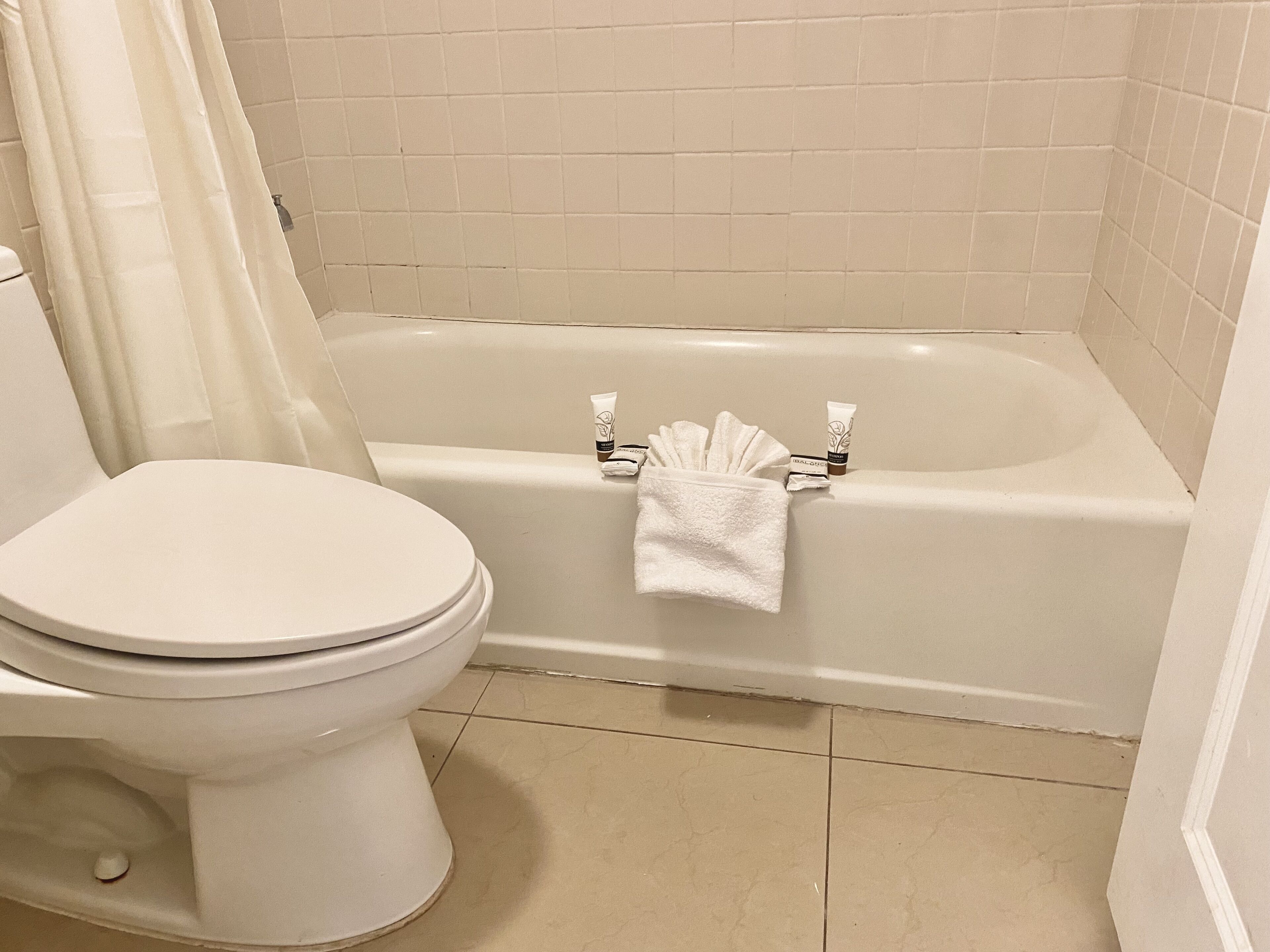 A bathroom with a toilet, a bathtub, and a shower curtain.