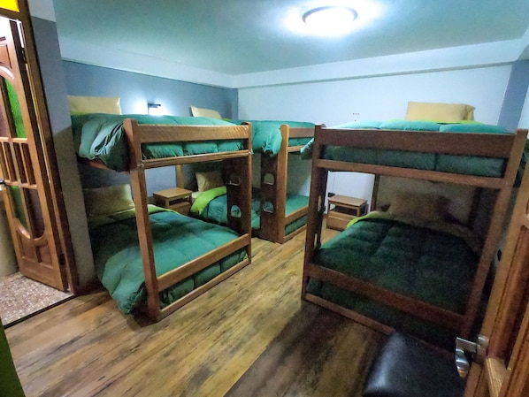 Economy Shared Dormitory, Mixed Dorm, Private Bathroom | Desk, free WiFi