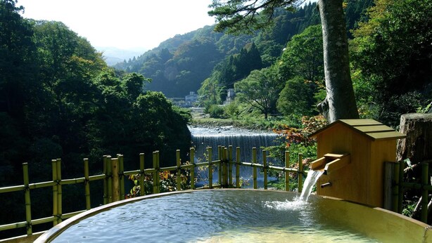 A hot spring surrounded by lush greenery and a wooden fence. - Sansuiso (Fukushima)