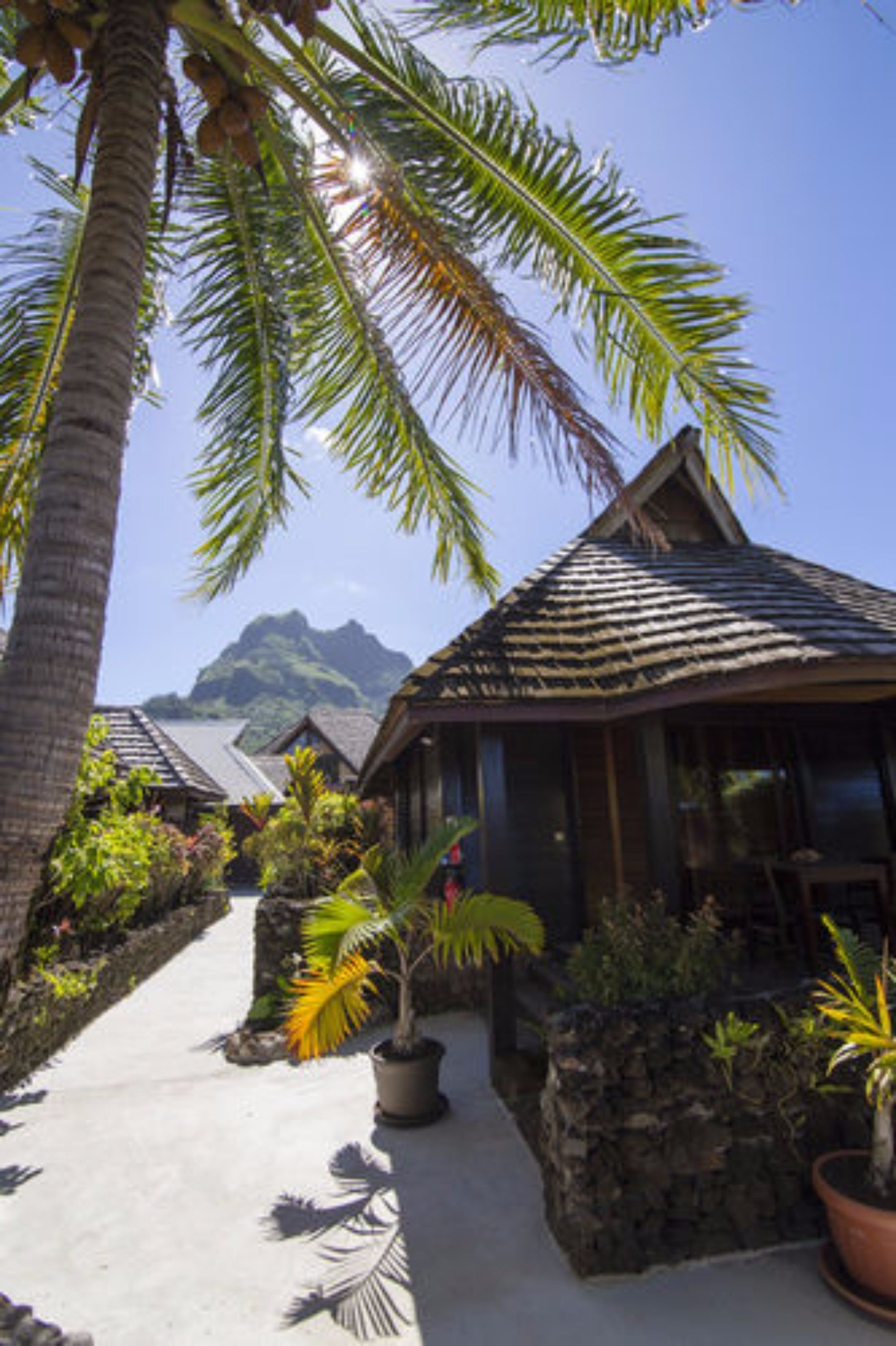 standard bungalow, ensuite (bungalows jardin) | desk, iron/ironing board, free cots/infant beds, free rollaway beds