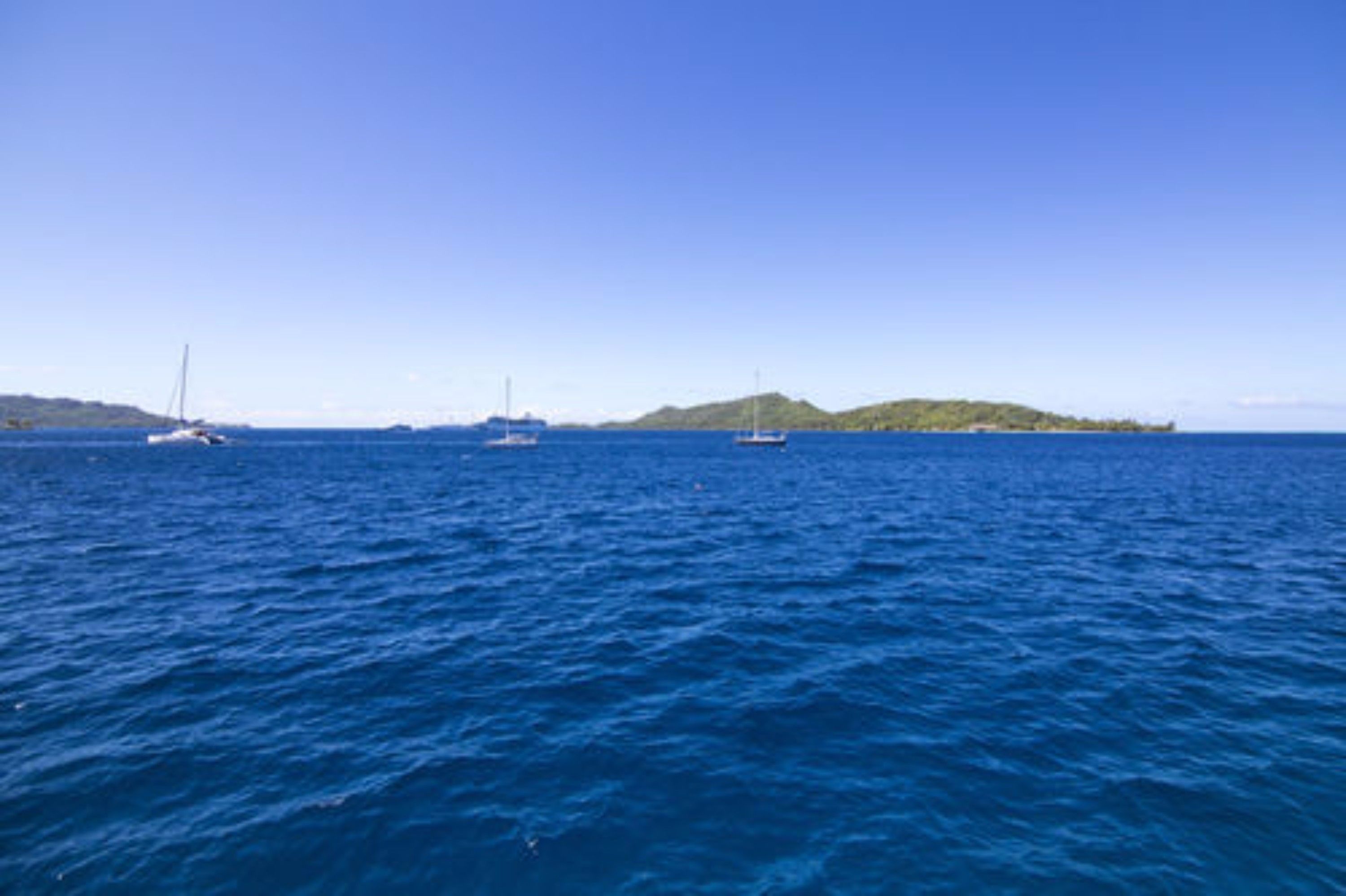 panoramic bungalow, ensuite, sea view (sur pilotis) | view from room