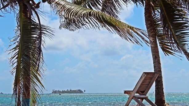 A beach with a wooden chair, palm trees, and a view of the ocean. - Posada Donde Pilo Avila (San Andrés)