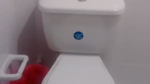 A white toilet with a blue sticker on the tank and a red bucket beside it. - Posada Estrella del Mar (Isla de San Andres)