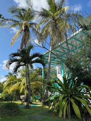 Näkymä majoituspaikasta