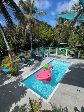 En pool med en rosa uppblåsbar flamingofigur, omgiven av palmer och ett skuggigt område med stolar och ett bord.