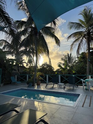 Une piscine dotée de chaises longues et d’un espace ombragé, entourée de palmiers et surplombée par un ciel dégagé.