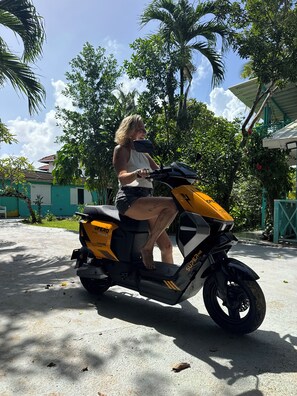 Vue depuis l’hébergement