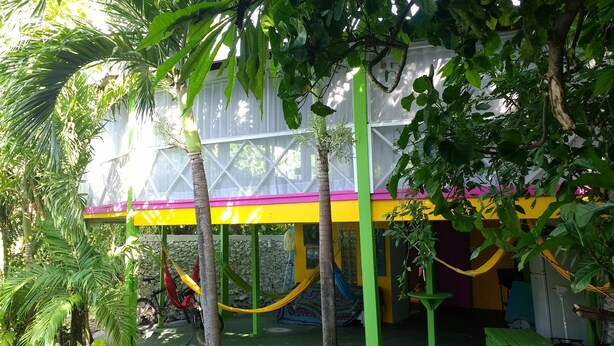 Une structure extérieure aux couleurs vives, avec un toit jaune et rose, entourée d’une végétation luxuriante et agrémentée d’un hamac.
