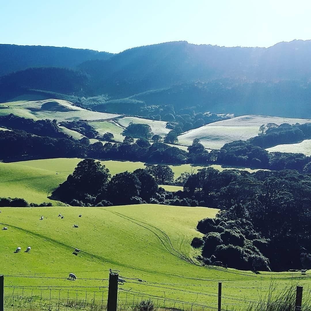 A rural landscape with rolling green hills, a few scattered trees, and a fence in the foreground.