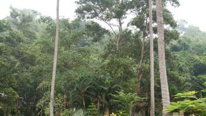 Luftbilde