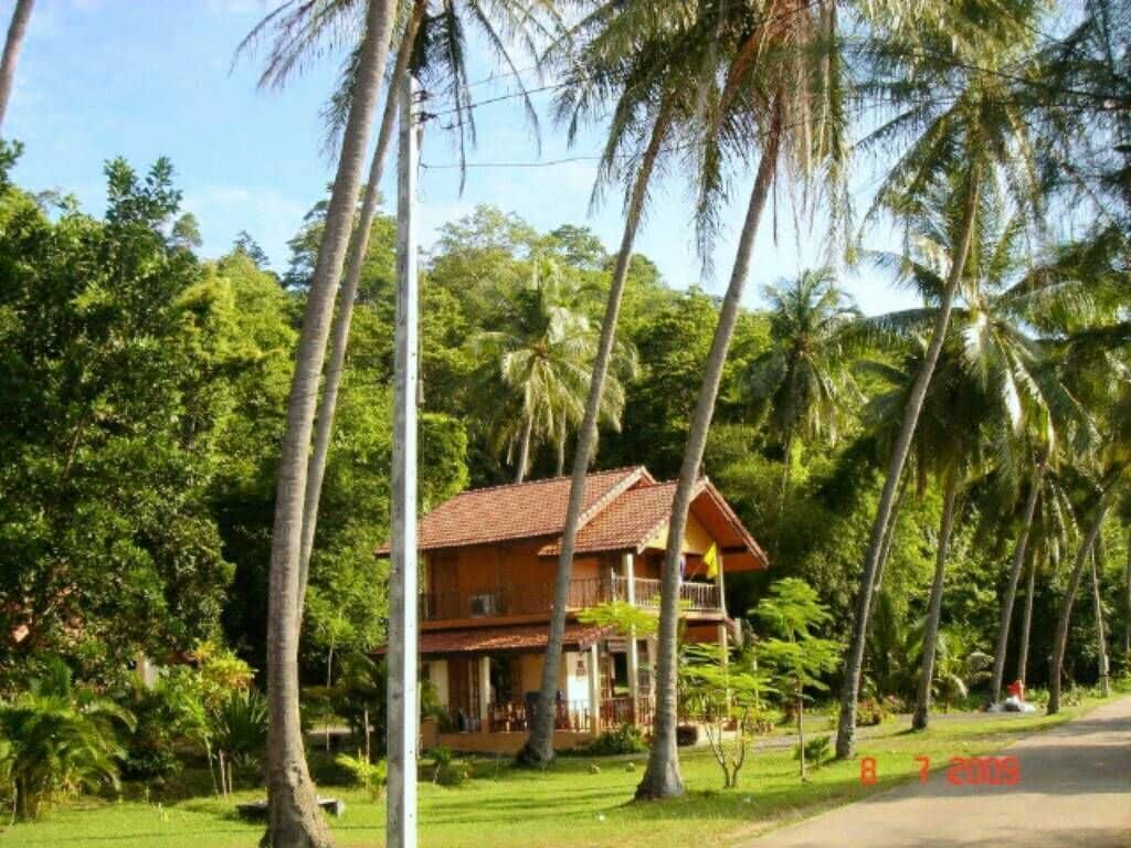 A wooden house with a red roof, surrounded by lush greenery and tall palm trees.