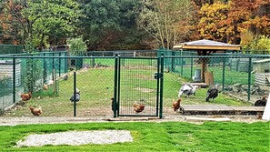 Exterior - Hotel Amethist (Herselt)