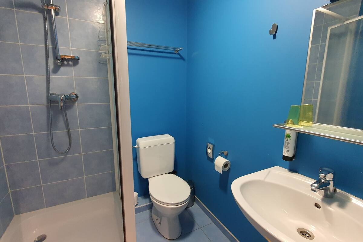 comfort double or twin room | bathroom | shower, free toiletries, hair dryer, slippers