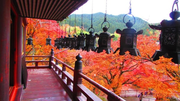 Byutsikt fra overnattingsstedet