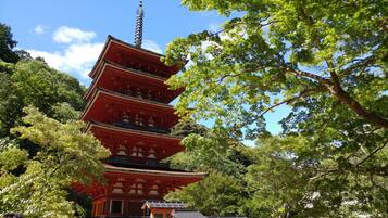 Un pagodas de varios niveles con arquitectura tradicional, rodeado de abundante vegetación.