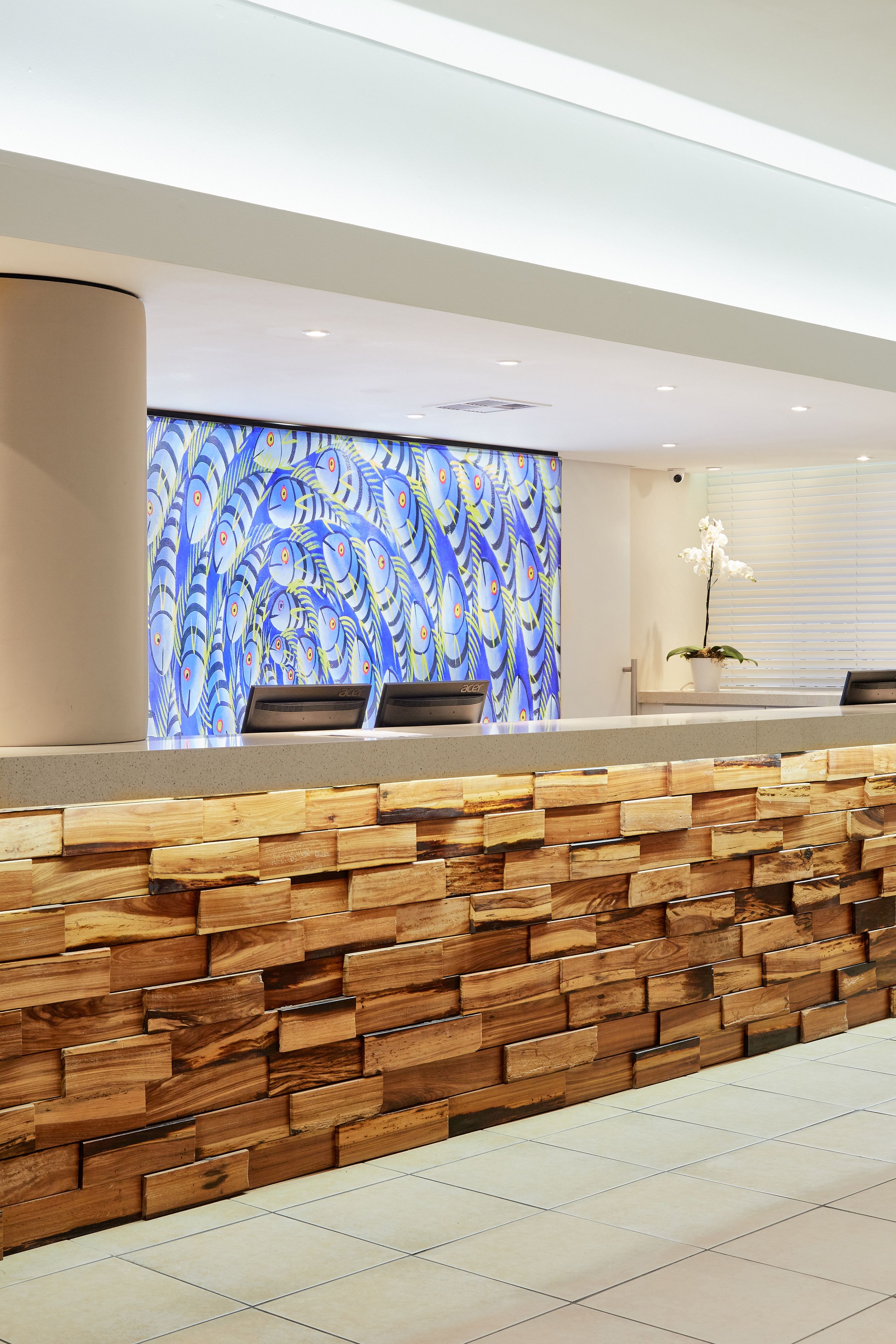 Un espace d’accueil avec un mur en bois, un fond bleu à motifs et une orchidée en pot.