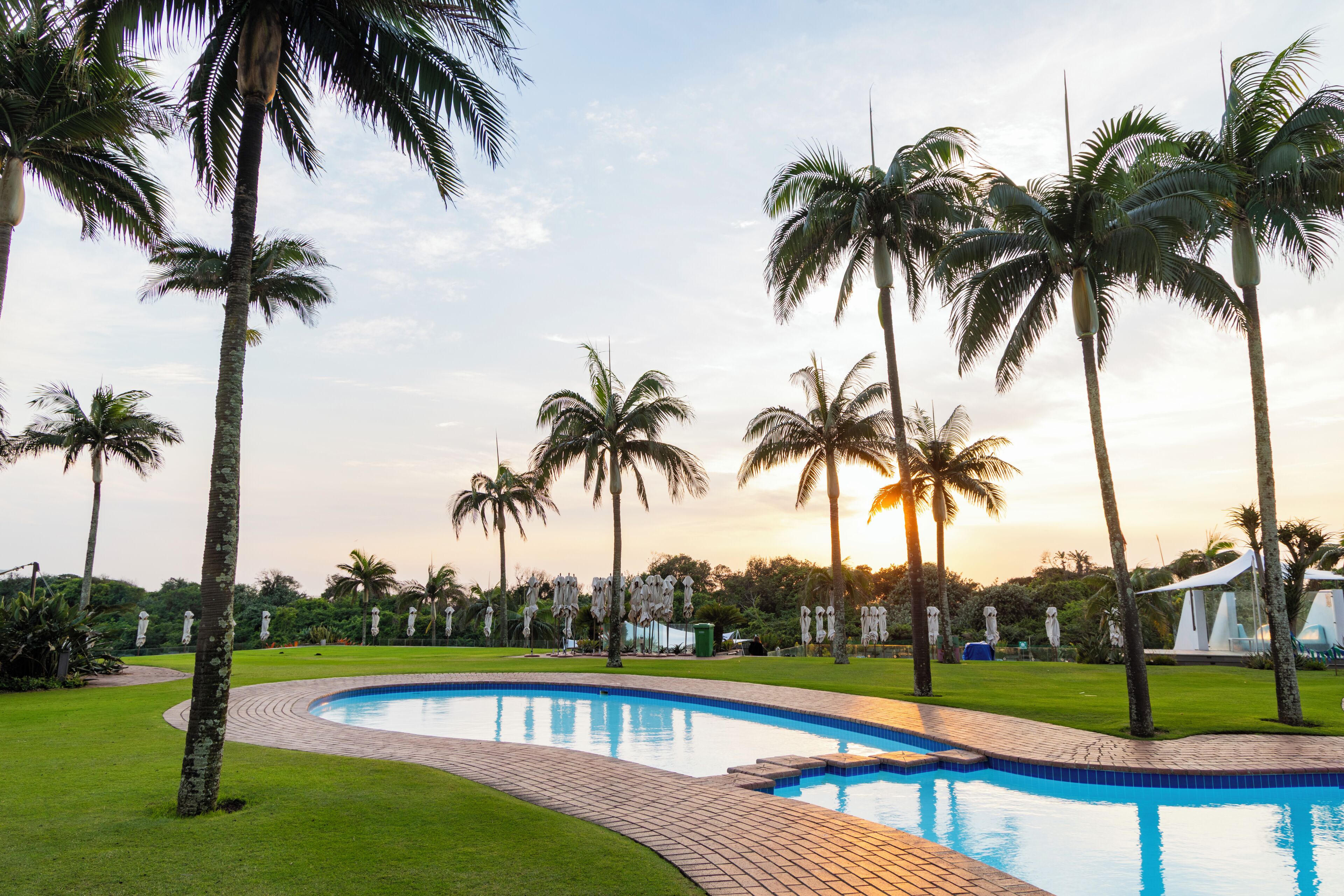 Una piscina rodeada de palmeras y un césped.