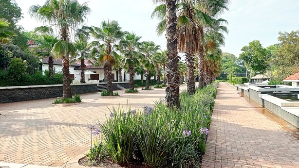 A paved walkway lined with palm trees and flowering plants, leading to a building with a tiled roof. - Sparkling Waters Hotel & Spa (Rustenburg)