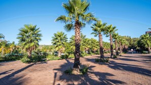 A paved walkway lined with palm trees and greenery, leading to a building entrance. - Sparkling Waters Hotel & Spa (Rustenburg)