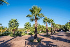 Terrein van de accommodatie