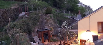 B&B Golden Lion