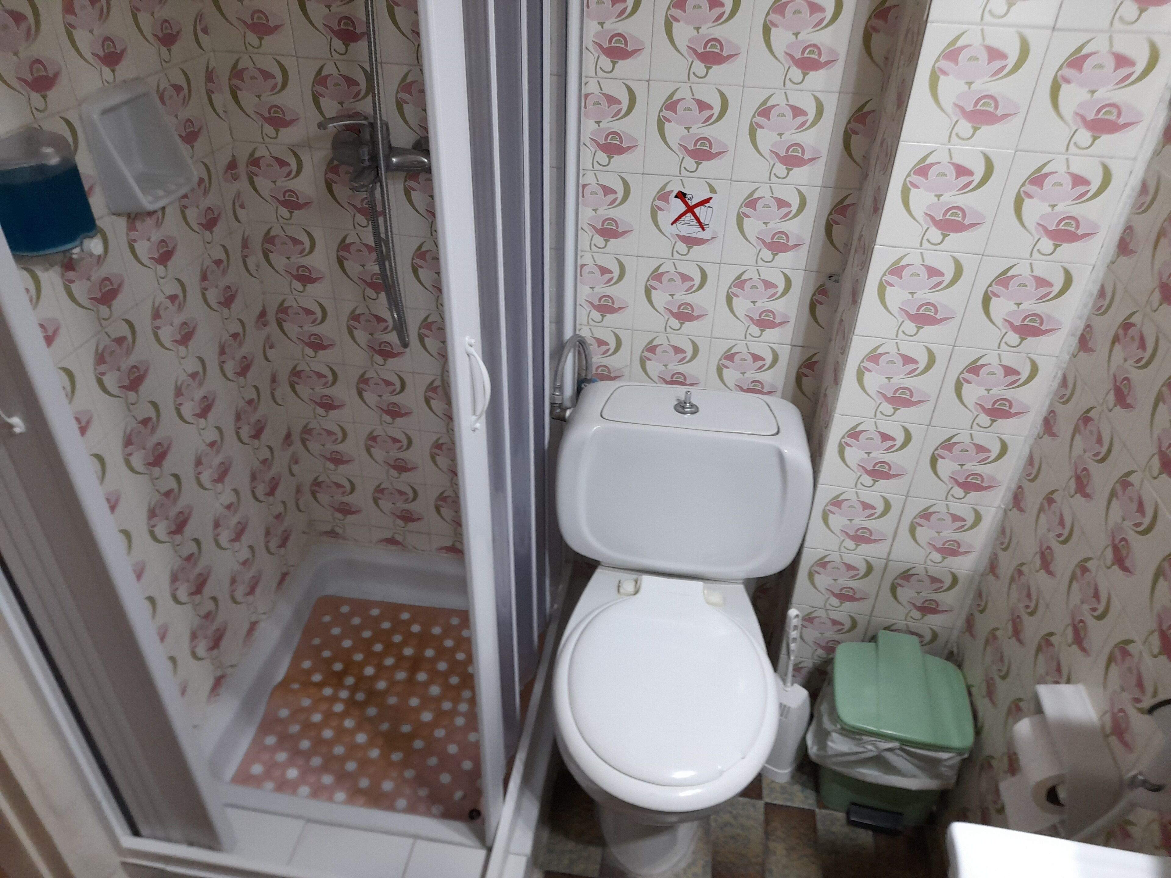 standard room | bathroom | shower, free toiletries, hair dryer, towels