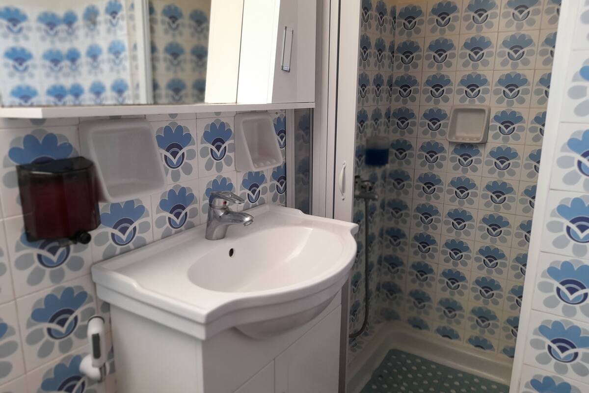 standard room | bathroom | shower, free toiletries, hair dryer, towels