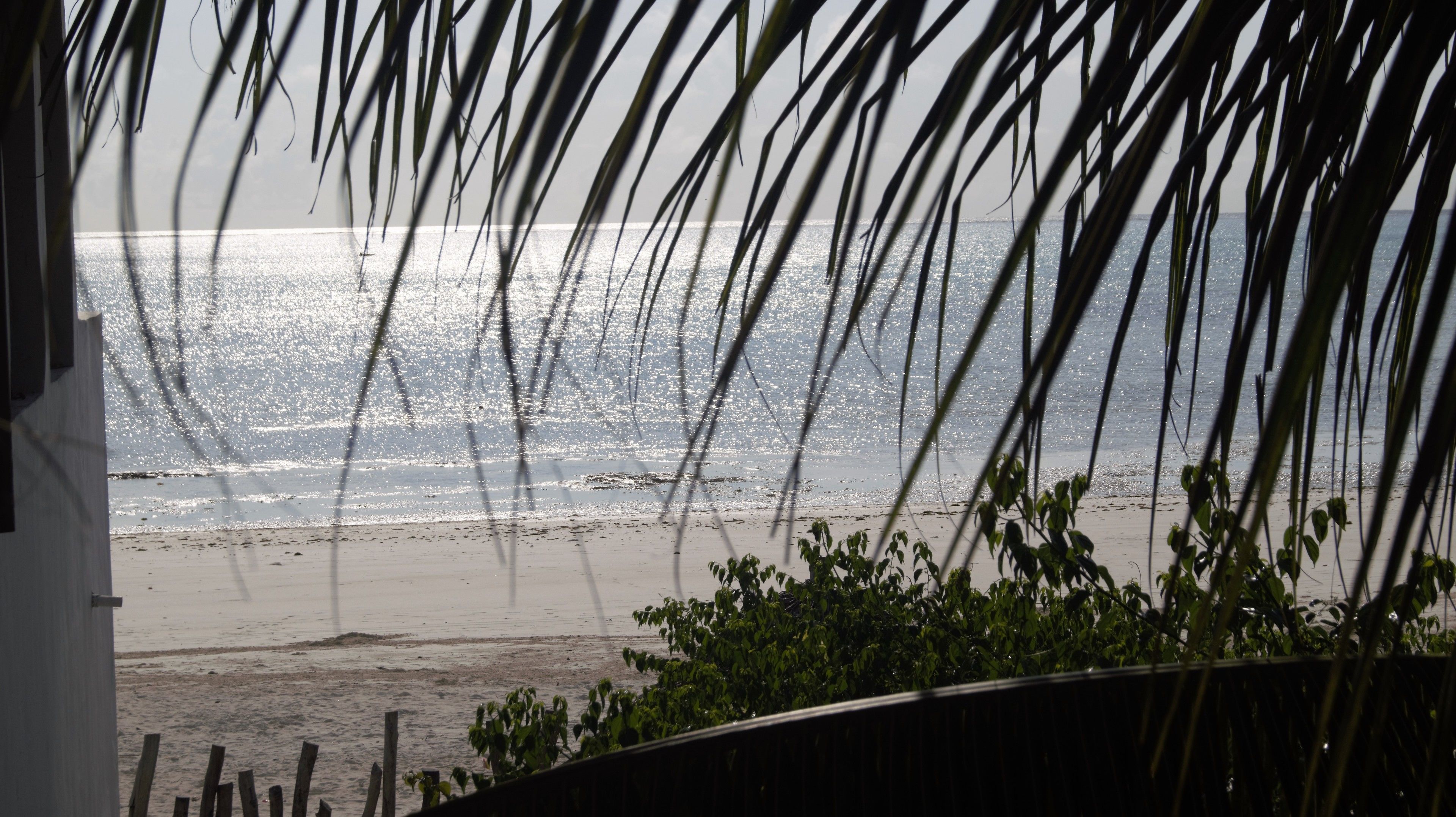 A beach view with palm leaves in the foreground.