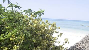 A beach with clear waters, a thatched structure, and dense green foliage.